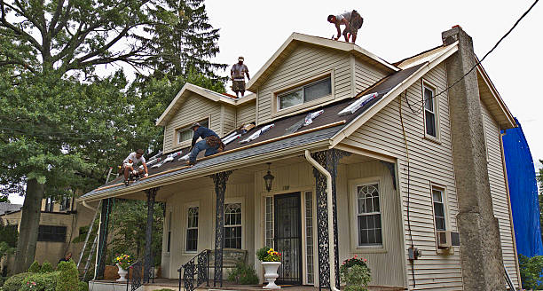 Best Residential Roofing Contractor  in Dixon, KY