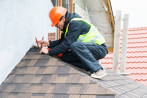 Best Roof Repair Services  in Dixon, KY